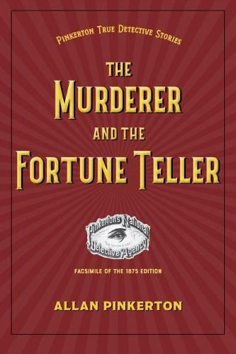 Cover image for The Murderer and the Fortune Teller