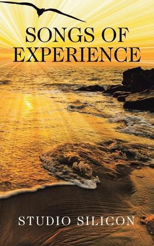 Cover image for Songs of Experience