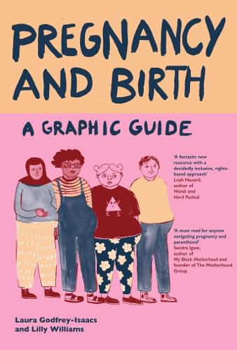Cover image for Pregnancy and Birth: A Graphic Guide