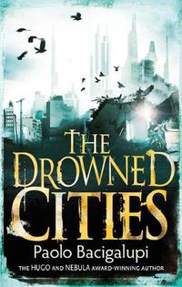 Cover image for The Drowned Cities: Number 2 in series