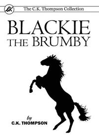 Cover image for Blackie The Brumby