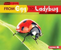 Cover image for From Egg to Ladybug