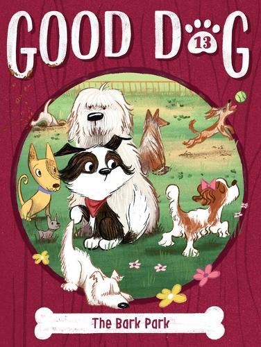The Bark Park: Volume 13