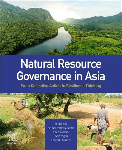 Cover image for Natural Resource Governance in Asia: From Collective Action to Resilience Thinking