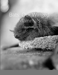 Cover image for Bats