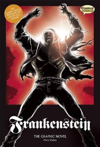 Cover image for Frankenstein the Graphic Novel: Original Text