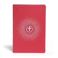 Cover image for CSB One Big Story Bible, Pink LeatherTouch
