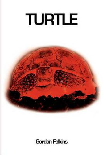 Cover image for Turtle