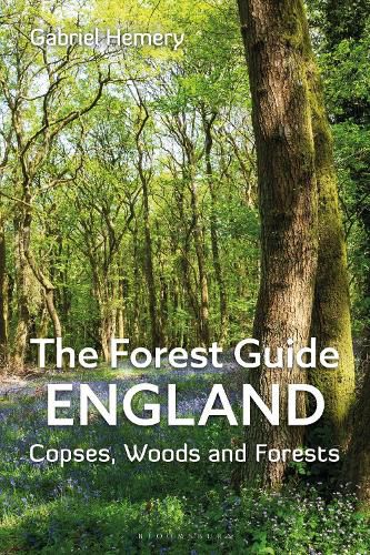 Cover image for The Forest Guide: England