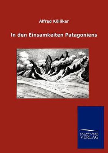 Cover image for In den Einsamkeiten Patagoniens