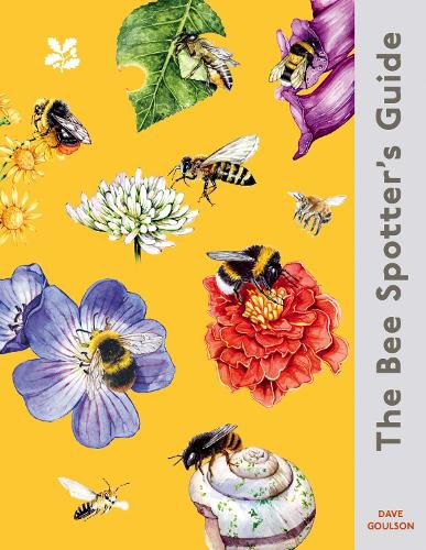 Cover image for The Bee Spotter's Guide