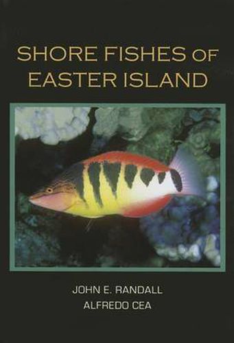Cover image for Shore Fishes Of Easter Island