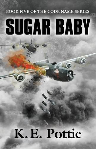 Cover image for Sugar Baby