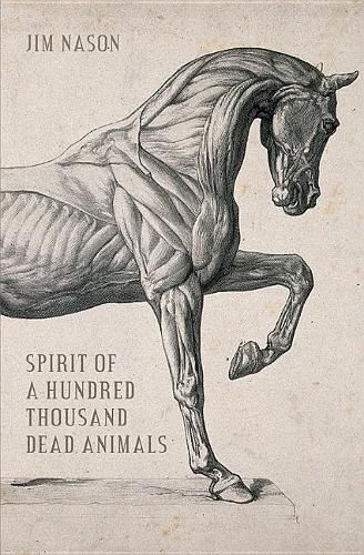 Cover image for Spirit of a Hundred Thousand Dead Animals