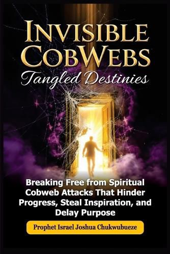 Cover image for Invisible CobWebs, Tangled Destinies