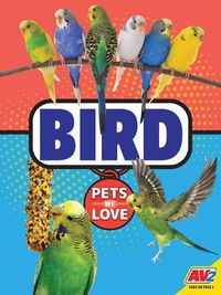 Cover image for Bird