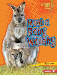 Cover image for Wallaby