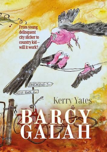 Cover image for Barcy Galah