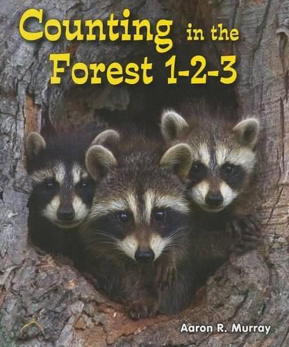 Cover image for Counting in the Forest 1-2-3