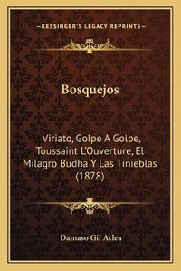 Cover image for Bosquejos: Viriato, Golpe a Golpe, Toussaint L'Ouverture, El Milagro Budha y Las Tinieblas (1878)