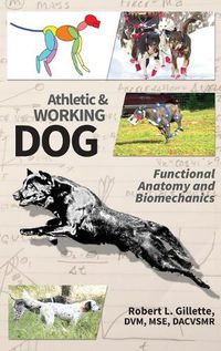 Cover image for Athletic and Working Dog: Functional Anatomy and Biomechanics