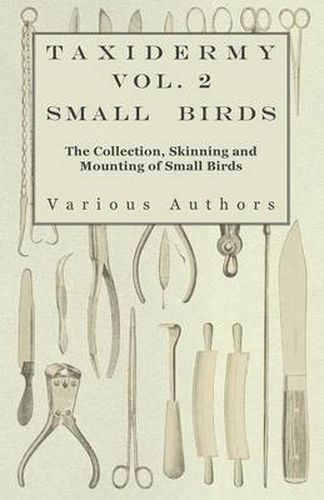 Cover image for Taxidermy Vol.2 Small Birds - The Collection, Skinning and Mounting of Small Birds