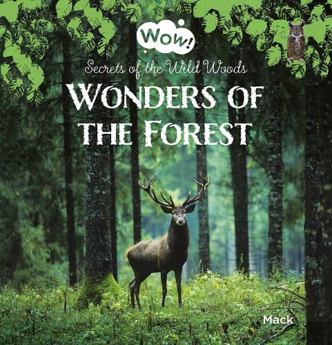 Cover image for Wonders of the Forest. Secrets of the Wild Woods