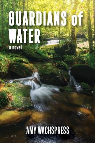 Cover image for Guardians of Water