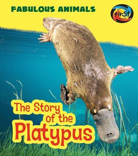 Cover image for Story of the Platypus