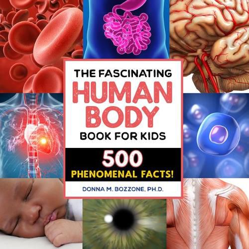 Cover image for The Fascinating Human Body Book for Kids: 500 Phenomenal Facts!