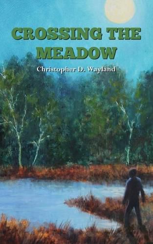 Cover image for Crossing the Meadow