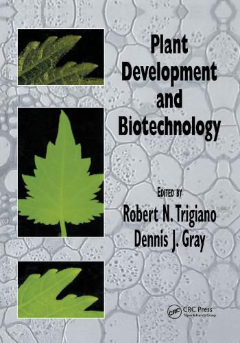 Cover image for Plant Development and Biotechnology