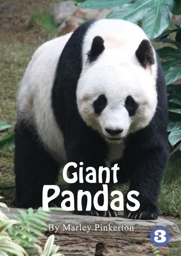 Cover image for Pandas