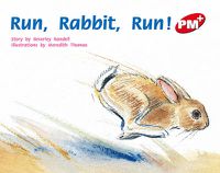 Cover image for Run, Rabbit, Run!