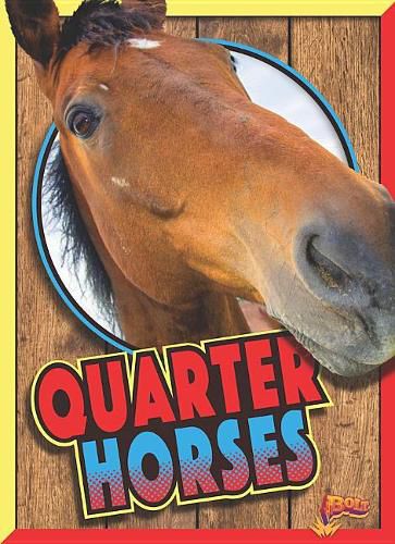 Cover image for Quarter Horses