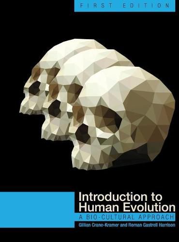 Cover image for Introduction to Human Evolution