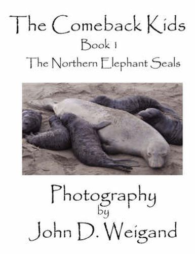 Cover image for The Comeback Kids: The Northern Elephant Seals