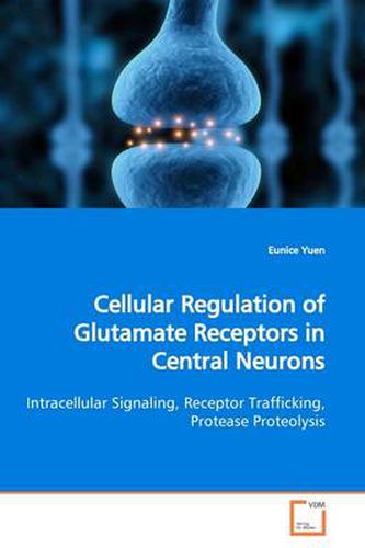 Cover image for Cellular Regulation of Glutamate Receptors in Central Neurons