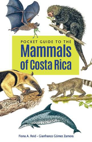 Cover image for Pocket Guide to the Mammals of Costa Rica