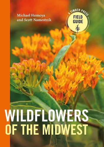Cover image for Wildflowers of the Midwest