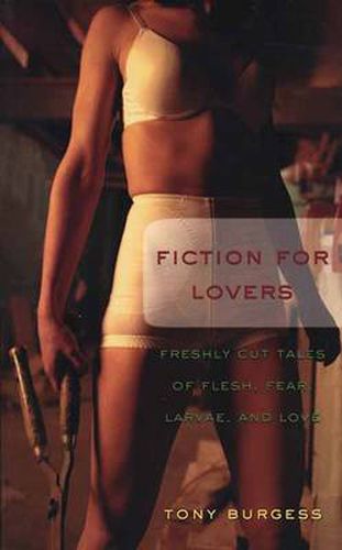 Cover image for Fiction for Lovers