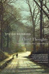 Cover image for Third Thoughts: The Universe We Still Don't Know