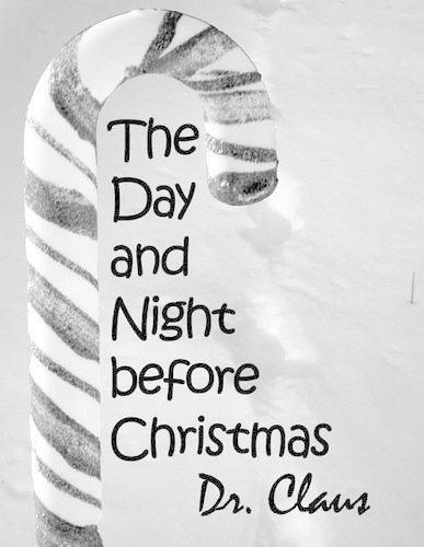 Cover image for The Day and Night Before Christmas