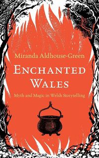 Cover image for Enchanted Wales