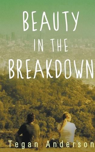 Cover image for Beauty in the Breakdown