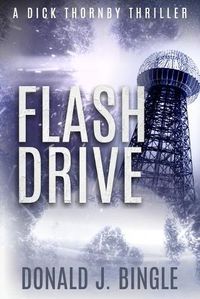 Cover image for Flash Drive