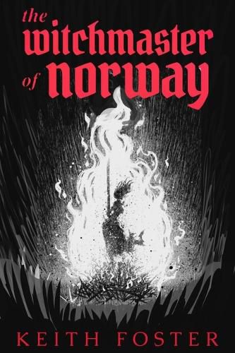 Cover image for The Witchmaster of Norway