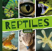 Cover image for Reptiles