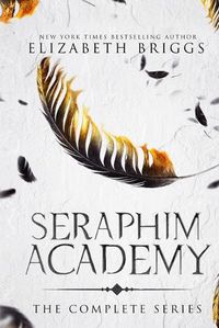 Cover image for Seraphim Academy