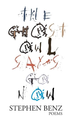 Cover image for The Ghost Owl Says Go Now
